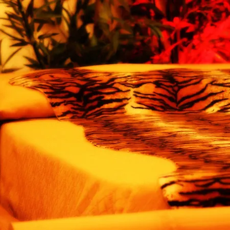 Hotel Carosello 3*